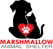 Marshmallow Animal Shelter Logo 2020